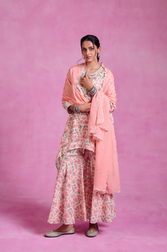 The Ethereal Multi- Coloured Sharara Set