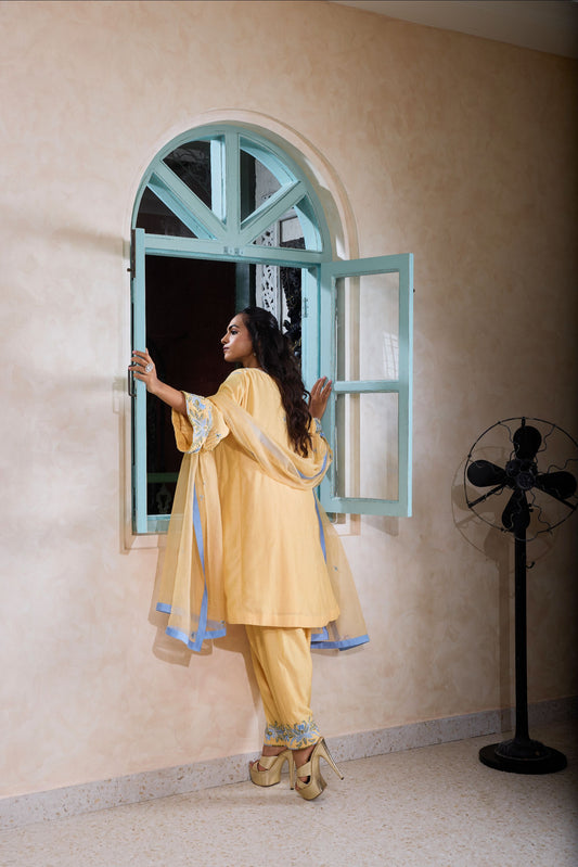 Hand-Embroidered naples yellow Flared Kurta & Salwar Set