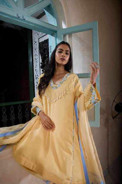 Hand-Embroidered naples yellow Flared Kurta & Salwar Set