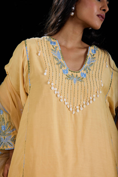 Hand-Embroidered naples yellow Flared Kurta & Salwar Set