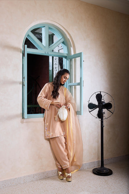 Hand-Embroidered Mink beige Kurta & salwar Set