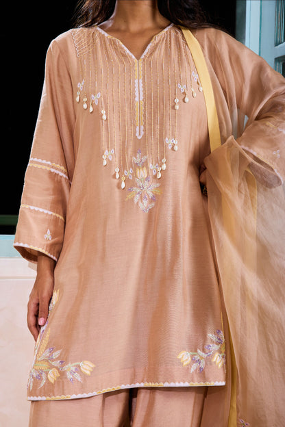 Hand-Embroidered Mink beige Kurta & salwar Set