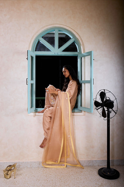 Hand-Embroidered Mink beige Kurta & salwar Set