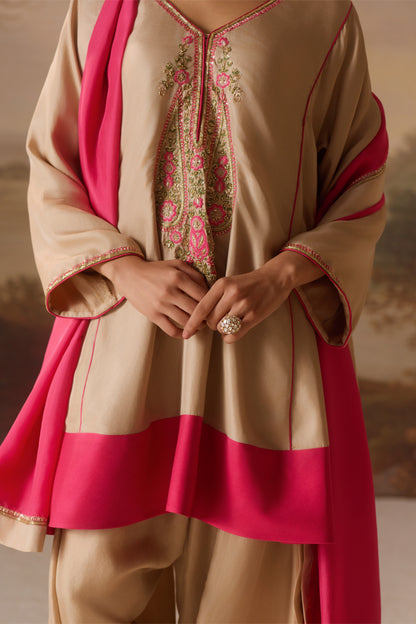 v- neck kalidar kurta & salwar set