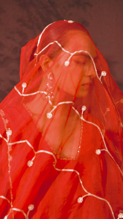The Eternal Ruby Red Flared Kurta & Salwar Set